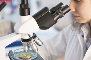 檢測(cè)領(lǐng)域廣